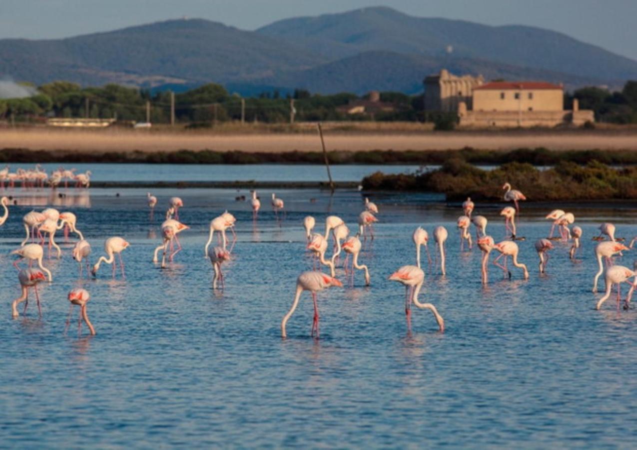 Affittacamere Orbetello Centro Exterior foto